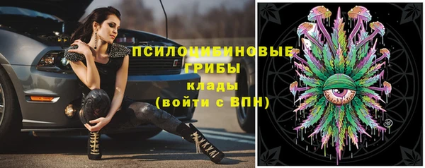 a pvp Сясьстрой