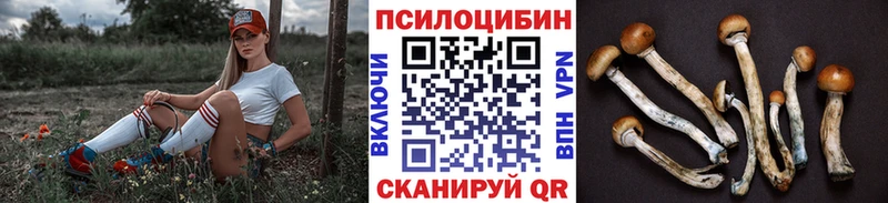 Псилоцибиновые грибы Psilocybe  Буинск 